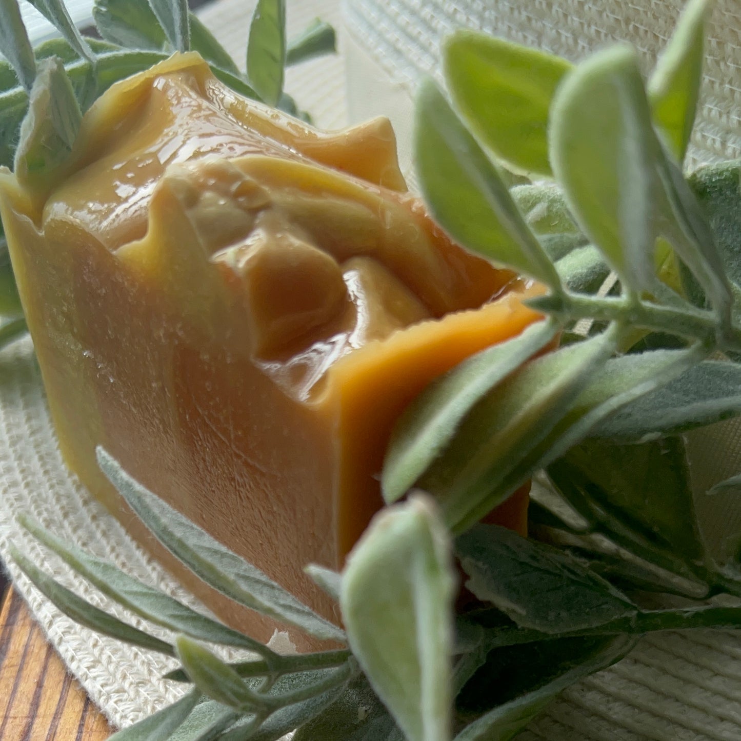 CANELA & NARANJA 🍊 🟤