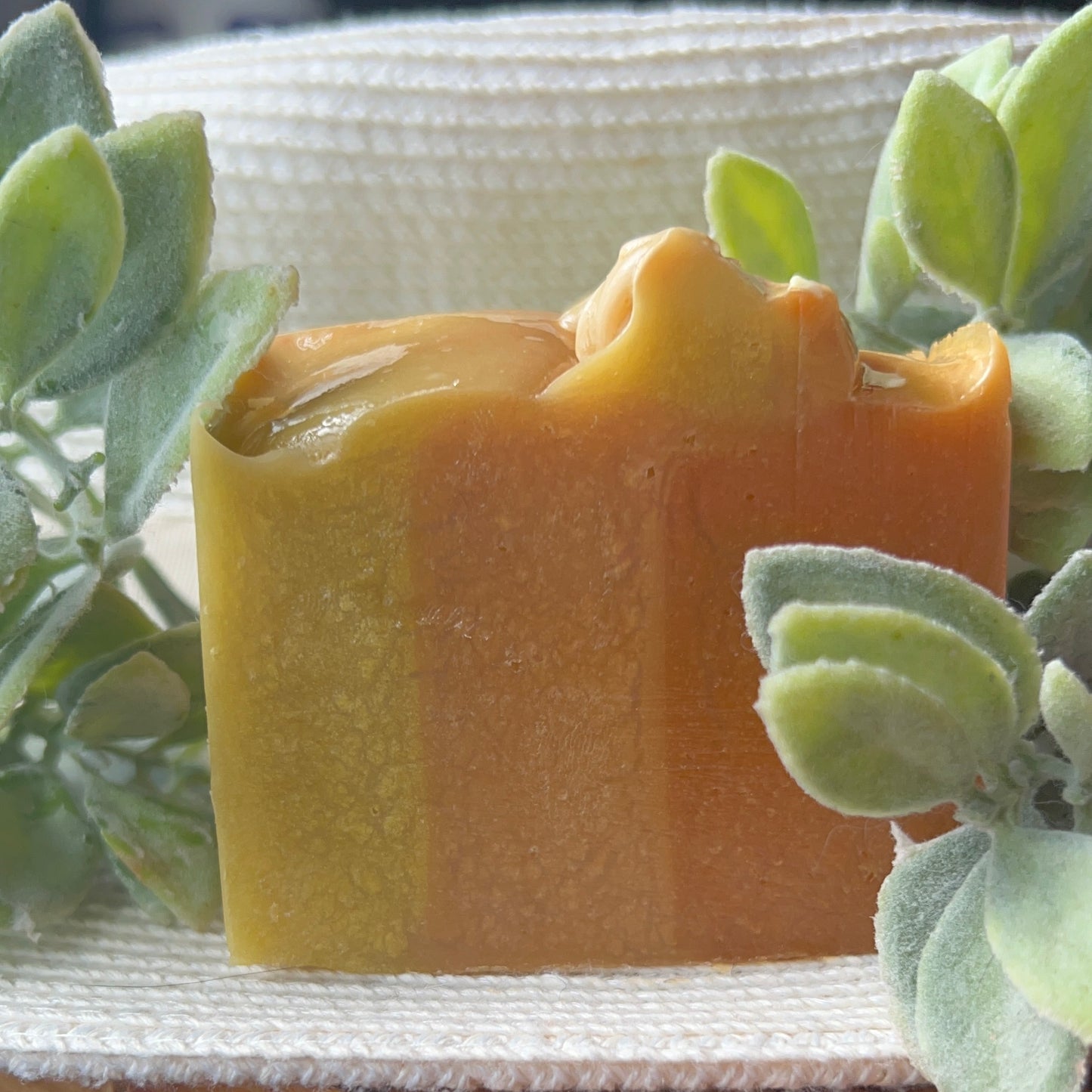 CANELA & NARANJA 🍊 🟤