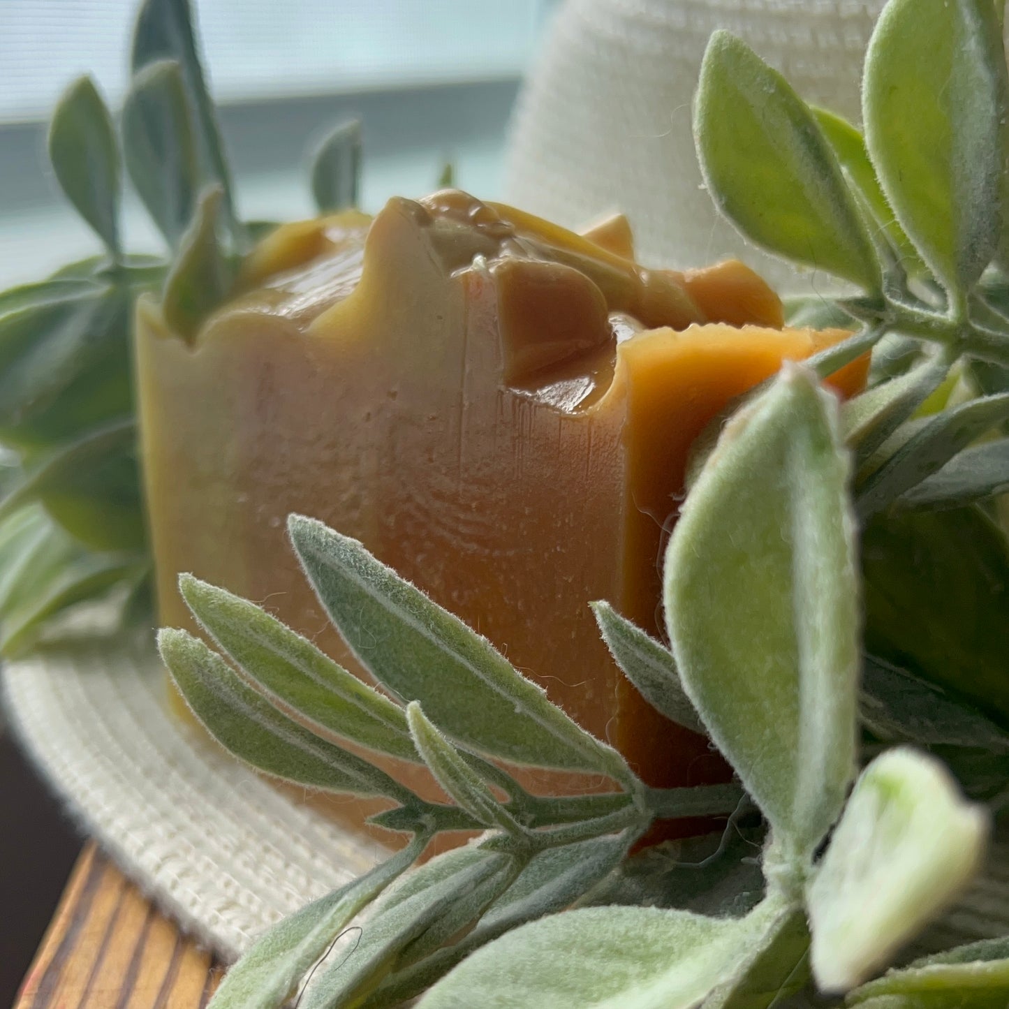 CANELA & NARANJA 🍊 🟤